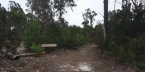 Comprar Terreno Balneario Argentino. Titulo,escritura, 2 Del Mar. Msm Al Wpp 