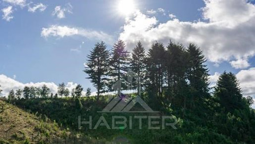 Puerto Varas Departamentos Uf 3.150 - Parque Tres Volcanes