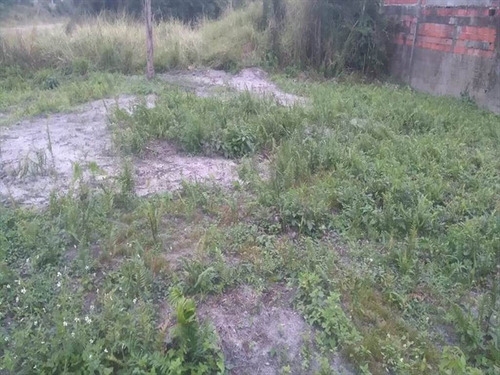 Imagem 5 de 5 de Terreno - Venda - Diplomata - Itanhaem - Ita2475