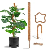 Comprar Postes De Musgo Para Plantas Trepadoras Monstera, Estacas De