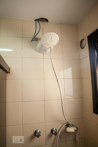 Apartamento Para Aluguel - Bom Retiro, 1 Quarto, 32 - 892797028