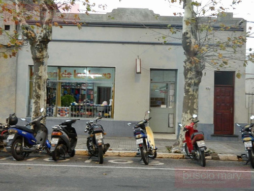 Imagen 3 de 15 de Casa - Colonia Del Sacramento