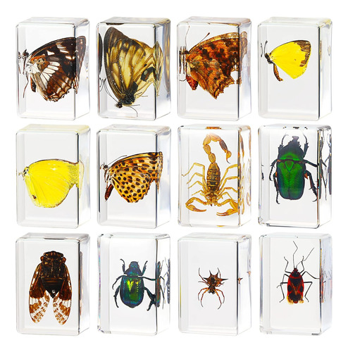 12 Piezas De Insectos Resina, Colección De Insectos Pe...