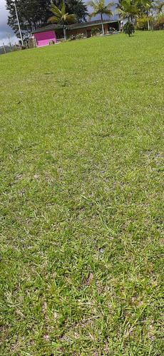 Imagen 17 de 28 de Hermosa Finca En Venta Marinilla