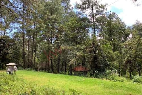 Imagen 1 de 22 de Venta De Terreno En Valle De Bravo Con Desarrollo De Rancho