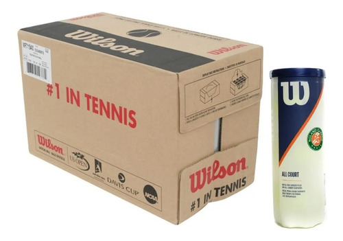 Caja Pelotas X 24 Wilson Tenis Roland Garros Ladrillo Caucho