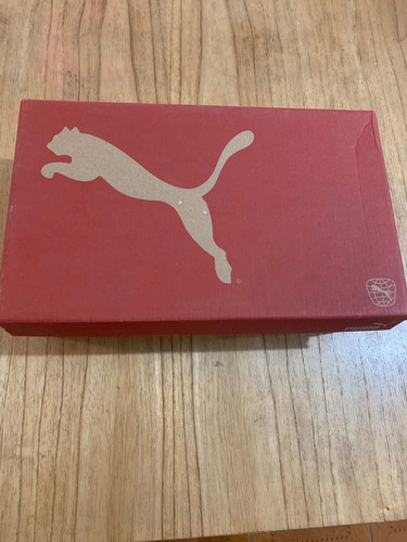 Zapatillas Puma Negras Team Gold (Usado)