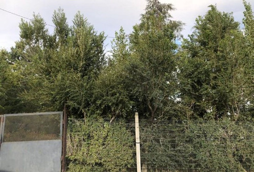 Lote De 1300 Mts2 Forestado Con Dos Departamentos