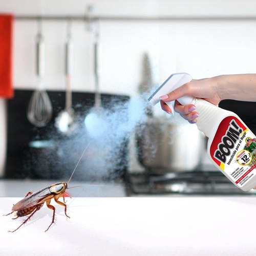 Insecticida Boom Para Hogar No Tóxico Elimina Plagas 5 Lts