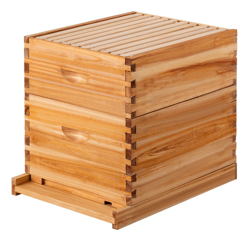 Kit De Caja De Colmena Para Miel De Abeja Incluye 20 Marcos