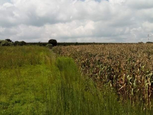 Imagen 5 de 10 de Se Vende Terreno En Calimaya, Estado De México