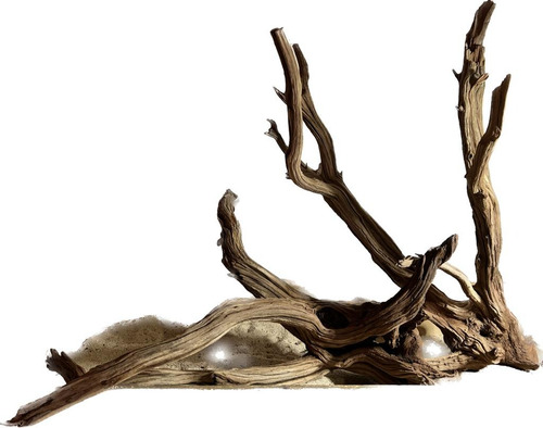Troncos Raíces Manzanita Muy Grandes Acuarios Estanques