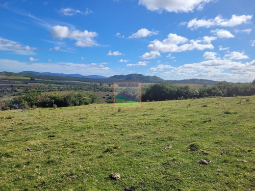 Imagen 7 de 22 de Campo Turístico 145hás En Zona De Pan De Azúcar