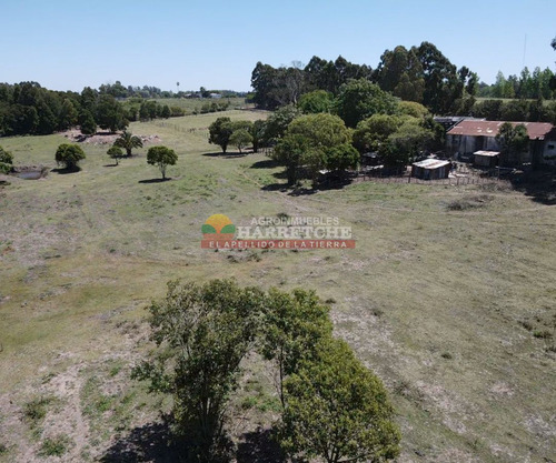Imagen 22 de 25 de Chacra En Venta 3has, Casa, Arroyo, Tajamar, Monte, Montevideo Rural, A Minutos De La Paz