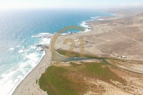 Hermosa Parcela Entre Tongoy Y Los Vilos.