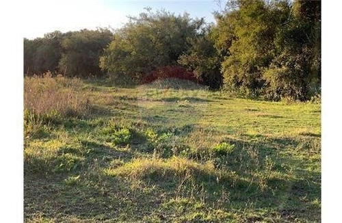 Hectarea En Venta En Ignacio Correa, La Plata