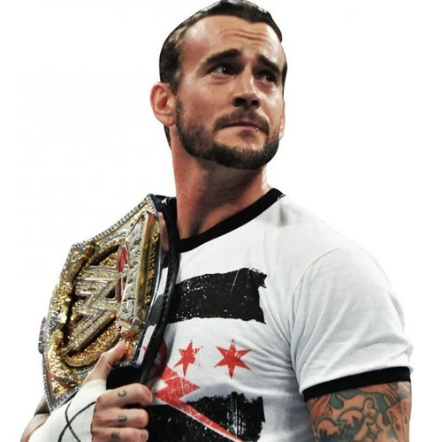 Poleras Wwe Original Cm Punk Best In The World Ringer