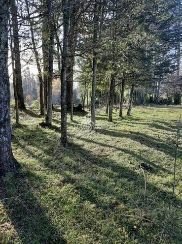 Parcela 5000 Mts Segunda Faja Molco Pucon Y Villarrica 