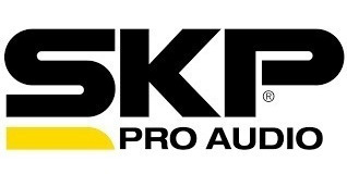 Potencia Skp Max 320 Amplificador 300w Bridge Profesional