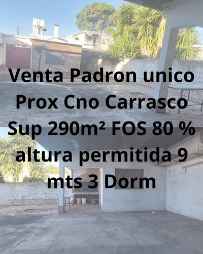 Padron Unico Prox A Cno Carrasco Sup 290 M2 Fos 80 % Altura Permitida 9 Mts 