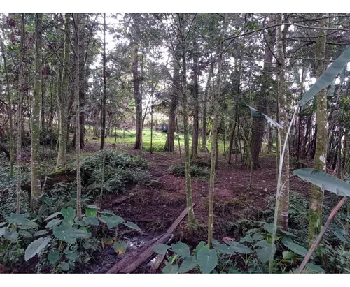 Lote En Venta Sector Llanogrande- Parcelación Vía Don Diego