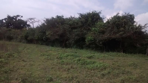 Venta Terreno Ganadero 400 Hectareas Frente Laguna De Tamiahua Veracruz.