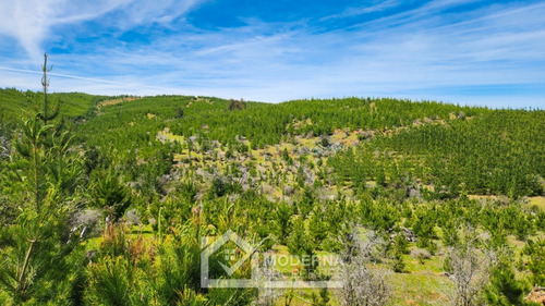 Predio 38 Ha Agricola Y Forestal