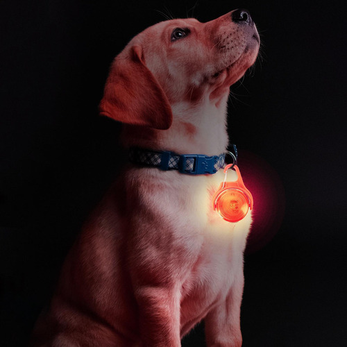 . Luz Recargable Para Caminar Para Perros Luces Para