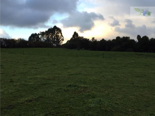 Se Vende Campo Con Casa Rustica Y Cabañas En Sector Coquiao