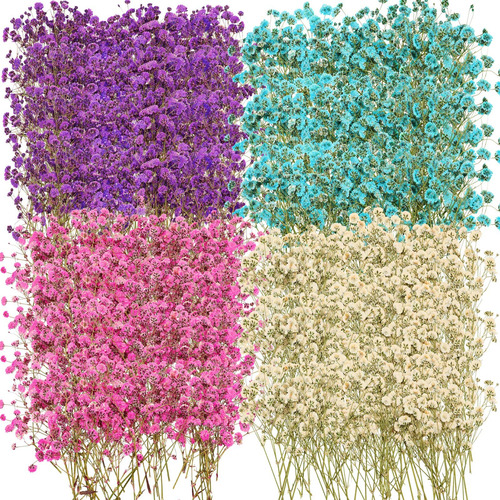 200 Unidad Flor Seca Aliento Bebe Ramo Gypsophila Prensada 4