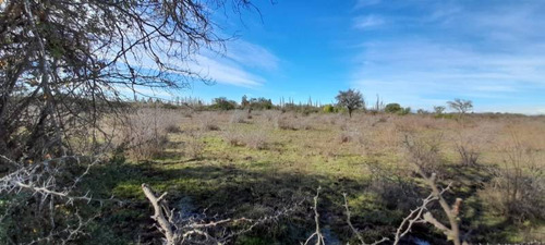 Campo Para Inversión En San Carlos