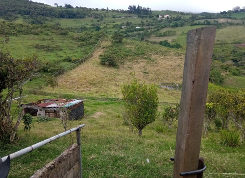 Imagen 4 de 7 de Bella Granja En La Mulera