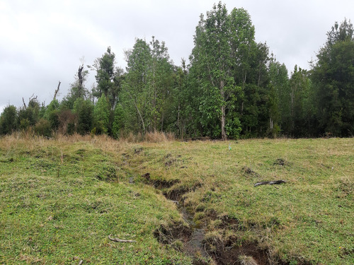 Parcela De 1,26 Hectárea Con Borde De Estero, Sector Puntra