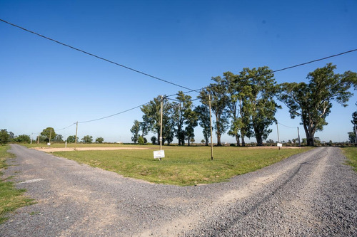 Imagen 4 de 16 de Venta- Terreno - La Plata- Barrio Abierto El Alba