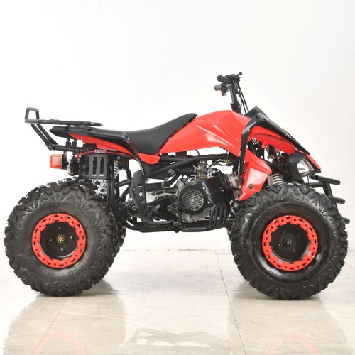 Imagen 7 de 25 de Cuatrimoto 200 Cc Atv Raptor