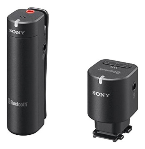 Microfono Inalambrico Sony Ecmw1m (negro)