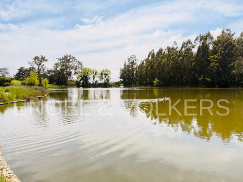 Venta Terreno Industrial Uso Mixto