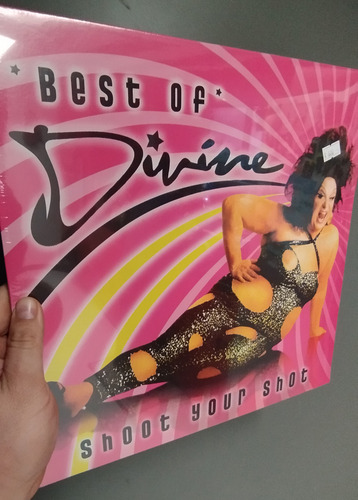 Divine The Best Of Lp Hi-nrg Cowley Patrick Miller Polymarch (Usado)