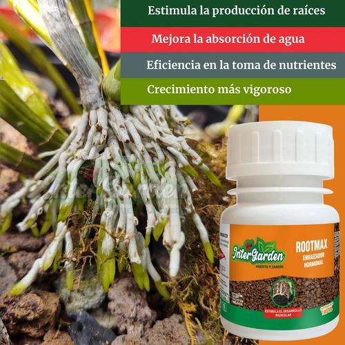 Imagen 3 de 7 de Fertilizante- Hormonas Crecimiento Raíces. Rootmax 100 Ml