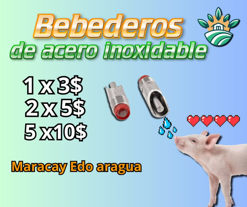 Bebedero Para Cerdos