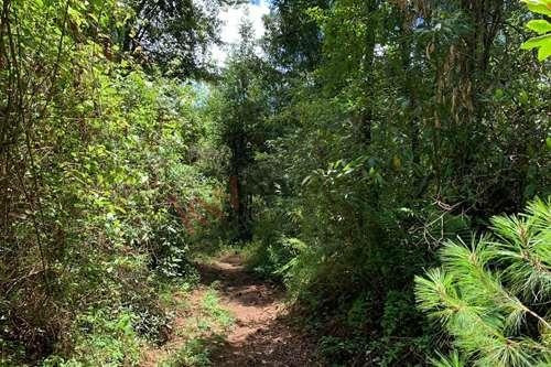 Imagen 8 de 22 de Venta De Terreno En Valle De Bravo Con Desarrollo De Rancho