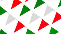 Comprar 50 Banderínes Liso De 8 M Polietileno Colores - Decoracion