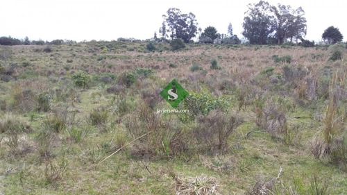 Venta De Chacra En Garzon, 8 Hectareas, Con Edificacion Para Reciclar Y Agua Permanente.- Ref: 167293