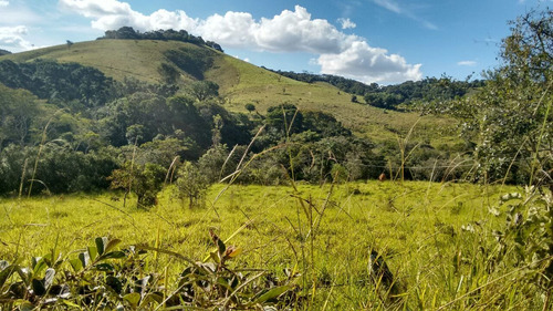 Sitio Com 50.000 Metros Quadrados Em Caxambu Sul De Minas , 09 Klm Da Cidade, Muita Água,bom Para Piscicultura, 03 Lagos Com Peixe. - 246