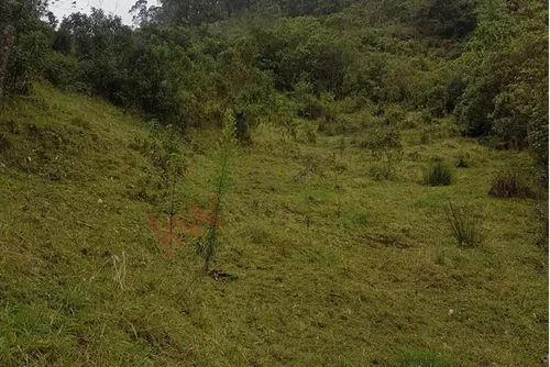 Terreno Para Inversión En El Alto Del Vino. 3.6 Fanegadas-7622 (7622).