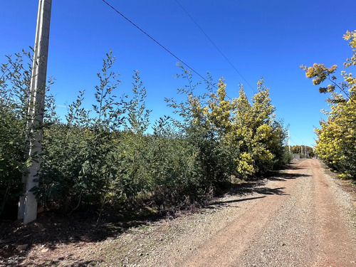 Oportunidad Parcela 5.000 Mts (93879)