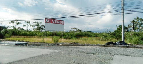 Venta Terreno Comercial De 5,229mts2 En Las Cumbres, Vía Transístmica