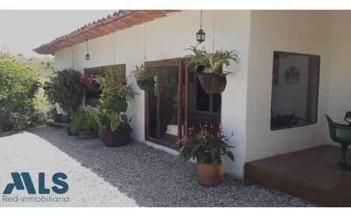 Grandiosa Finca Con Cultivos De Aguacate Hass(mls#247937)