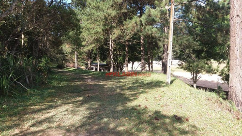 Terreno À Venda, 100000 M² Por R$ 550.000,00 - Colônia (zona Sul) - São Paulo/sp - Te0123