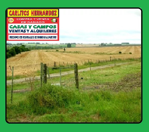 En Montevideo Necesitamos Campos P Arrendar Se Ofrece Garantía